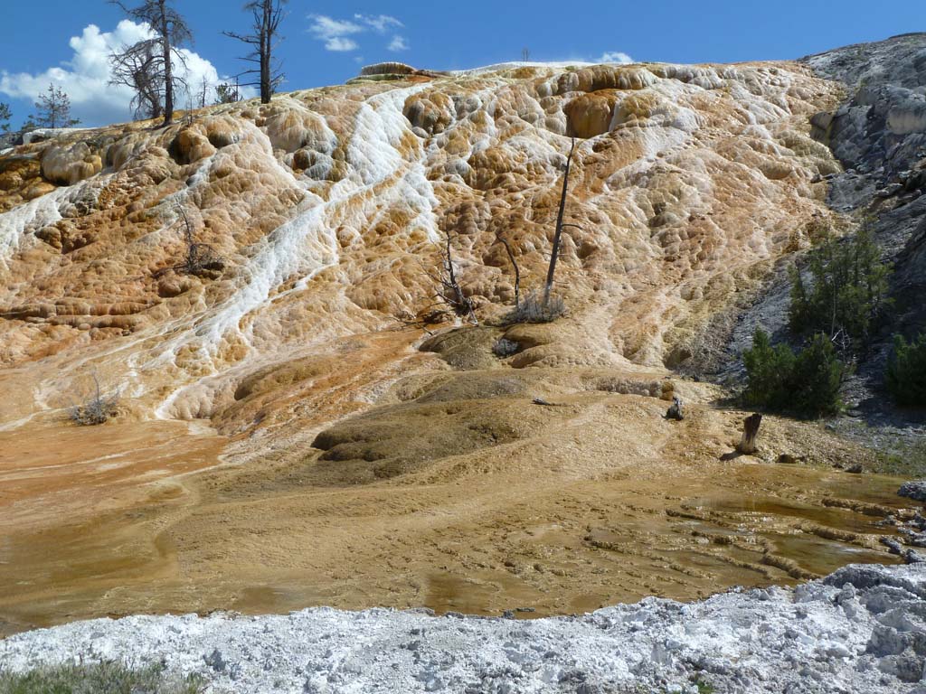 061_Mammoth_Hot_Springs_Yellowstone_NP