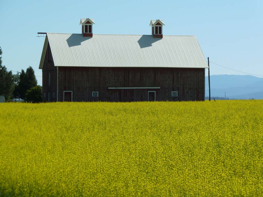164_Barn_near_Kalispel_MT
