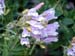 175_Glacier_NP