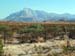 207_Guadalupe_Mountains
