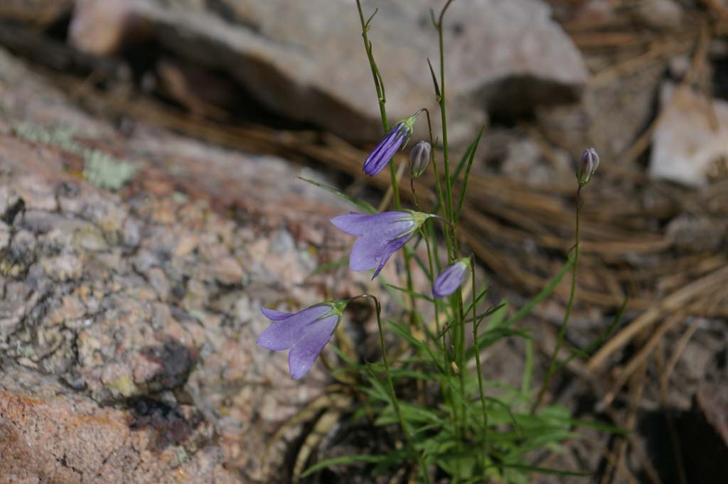 058CusterStatePark