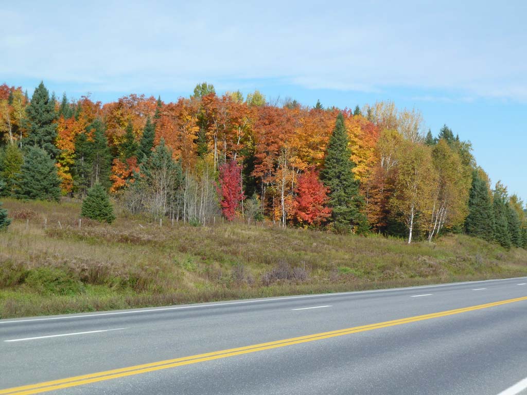 022_US_1_South_of_Caribou_ME