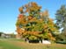 036_Ridgeway_NY