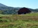 051_Christmas_Tree_Farm_MD