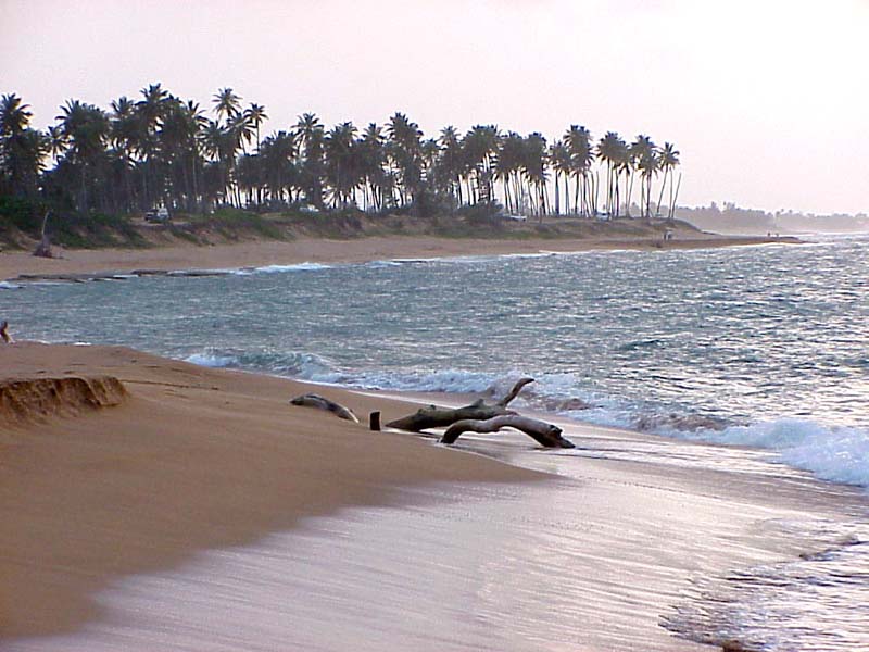 BeachEastofSanJuan