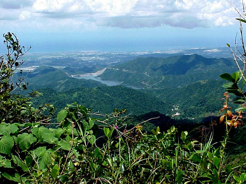 LookoutnearMtJayuya