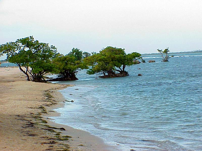 PonceBeach