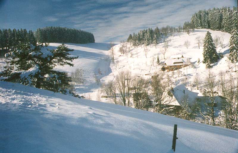 08Country_Side_Liechtenstein