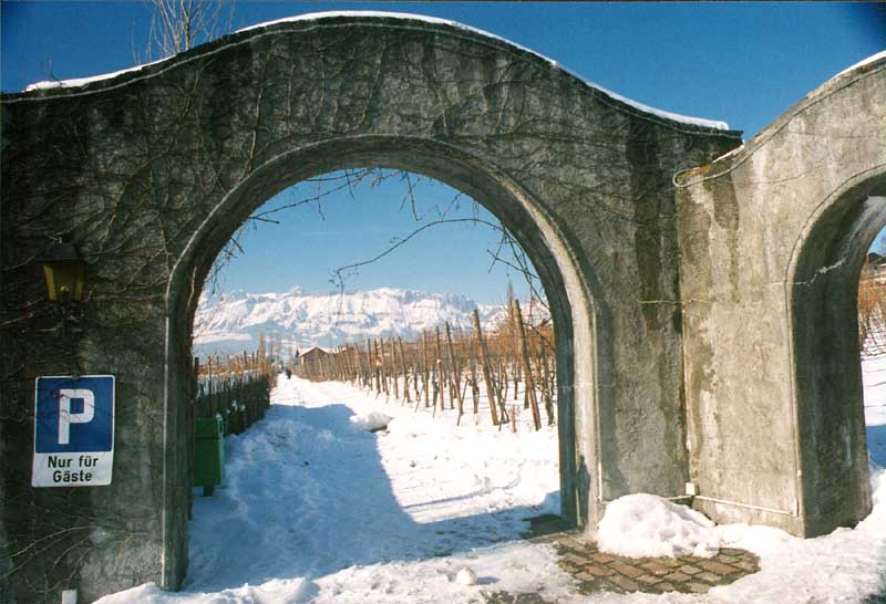 09Vaduz_Arches_Vineyard_Liechtenstein