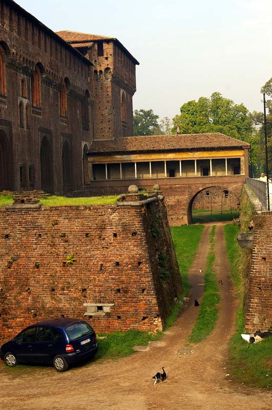 041_Castello_Sforzesco_Cats