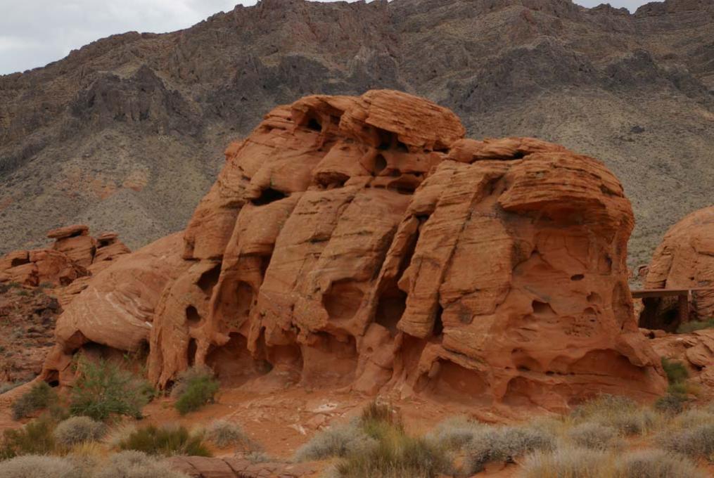 IMGP0918ValleyofFire