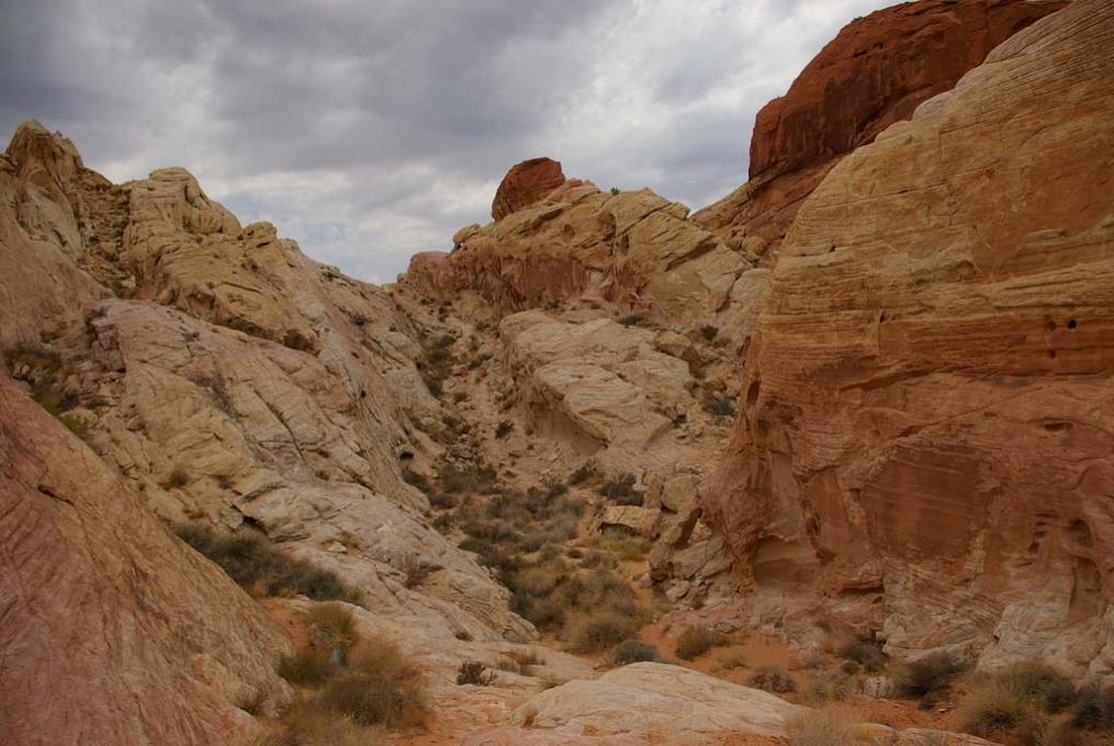 IMGP0932ValleyofFire