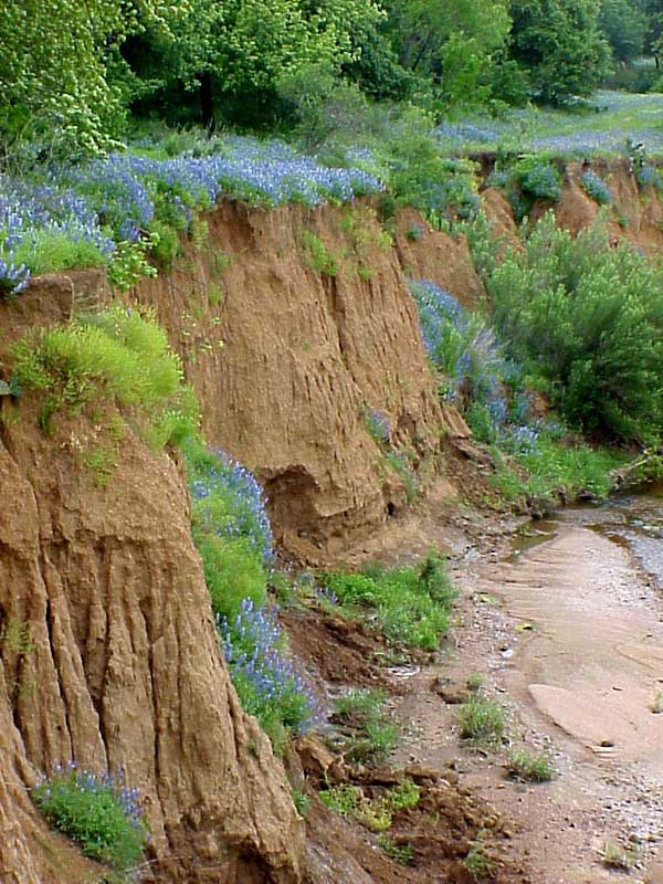 CreekBank